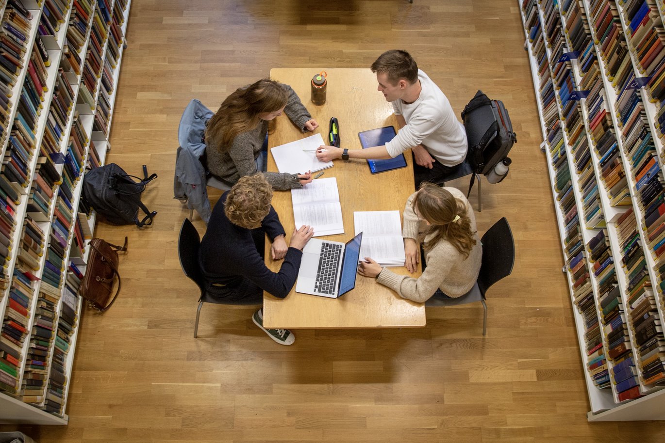 Interdisciplinary group work